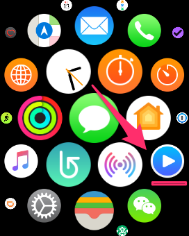 Apple Watch 应用列表