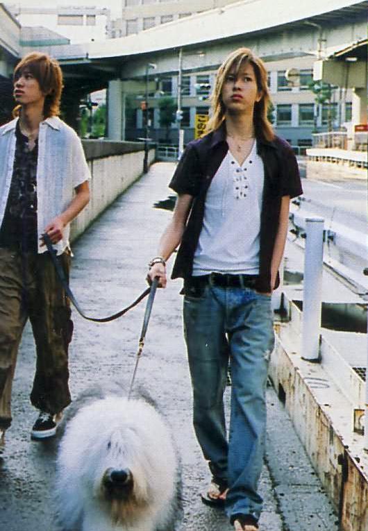 图片点击可在新窗口打开查看