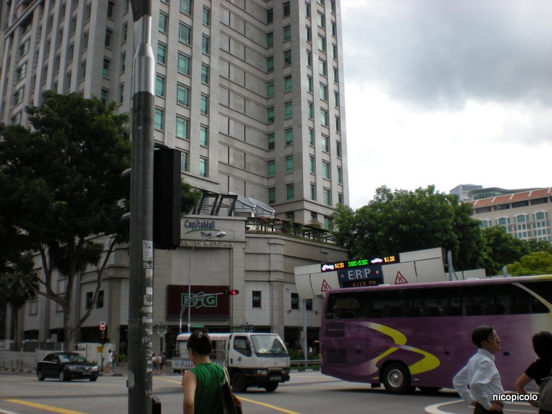 DSCN0196