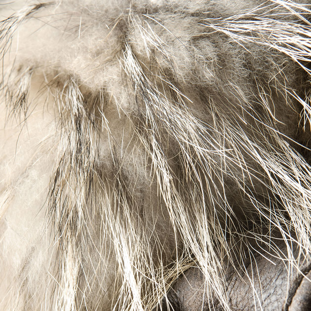 Fur