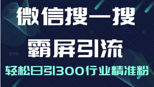 微信搜一搜霸屏引流课,打造被动精准引流系统,轻松日引300行业精准粉