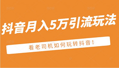 某公众号付费文章：月入5万引流玩法，看看老司机如何玩转！