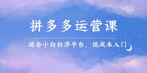拼多多运营课,适合小白初涉平台,低成本入门创造销量和利润的方法