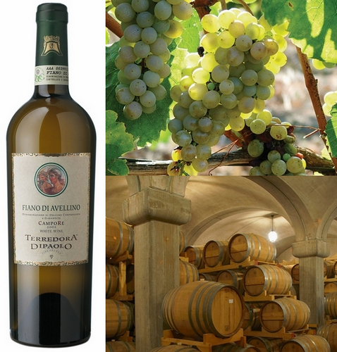 Fiano di Avellino D.o.c.g. Campore