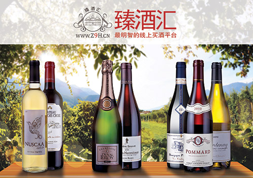 臻酒汇,最明智的线上买酒平台