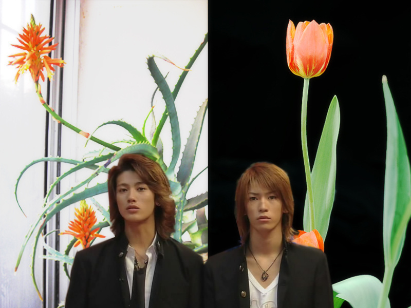 图片点击可在新窗口打开查看