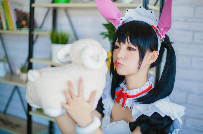 矢泽日香cn荣小兔头