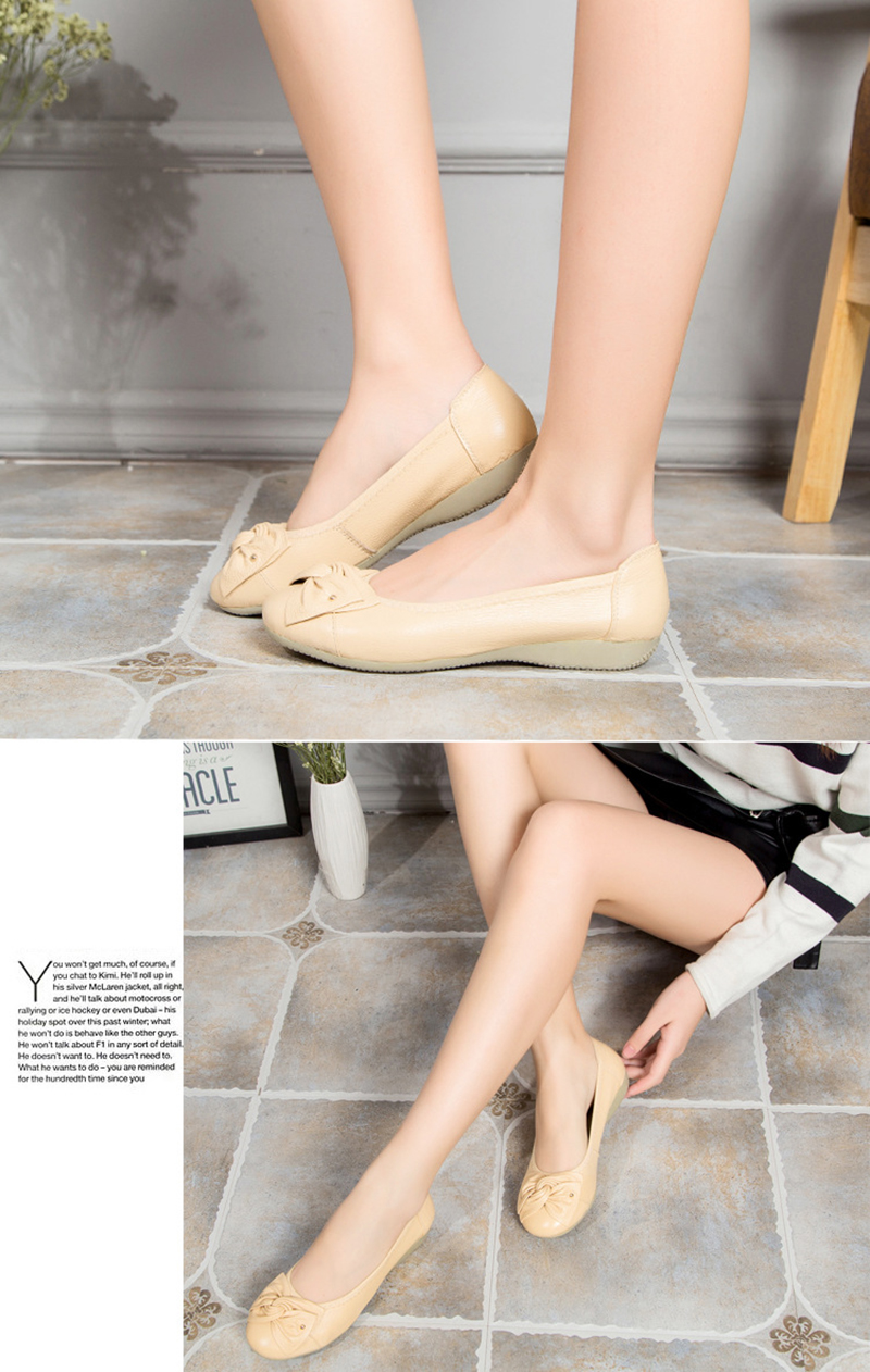 OVIA0934ZZ-02.jpg