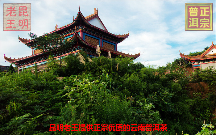 最近一组杂片,谢谢您!12P喔 最近一组杂片,谢谢您!12P喔