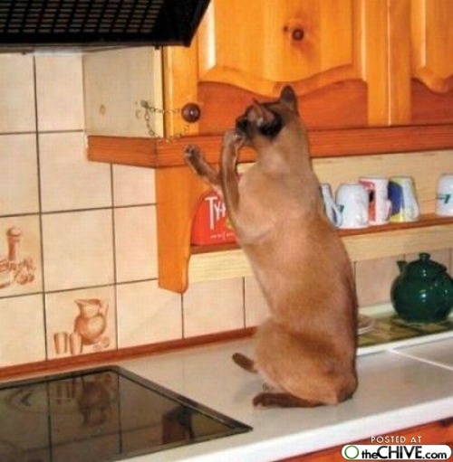 random-funny-4d-15|yupoo.com