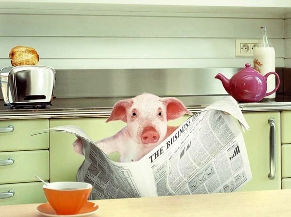 别看疗效,看广告!