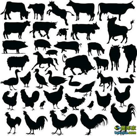 动物设计动物素材动物剪影野生动物动物形状矢量108