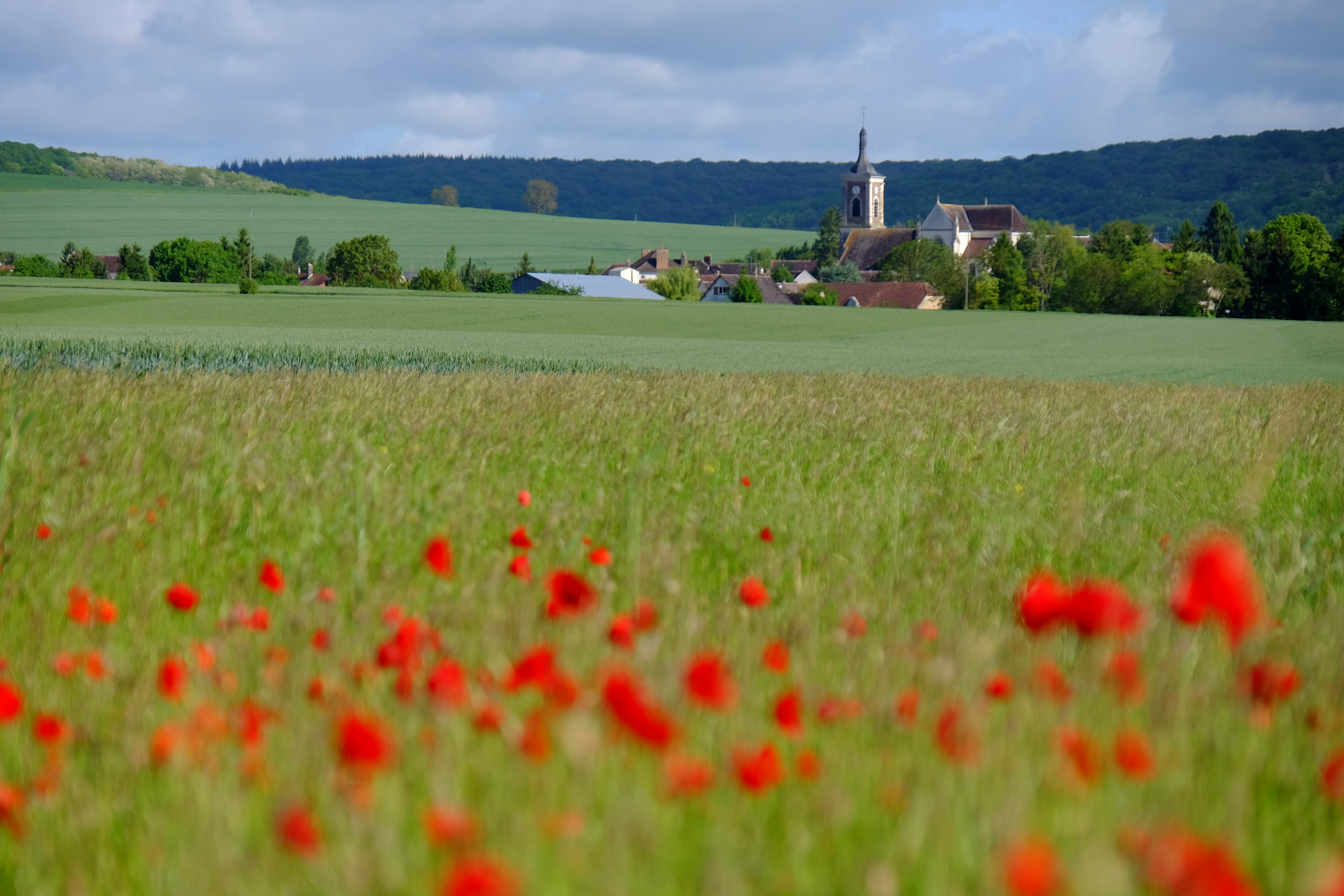 法国春日 田园风光