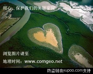 肉眼看不到的淡水生物(15p)