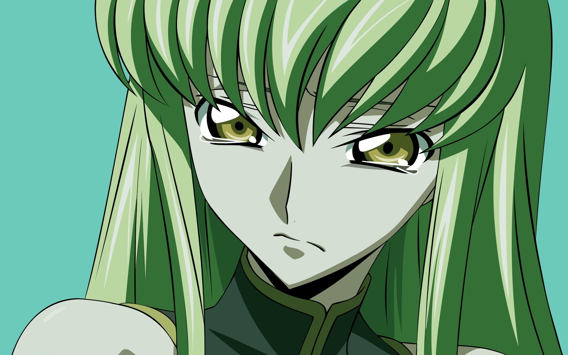 [贴图]璀璨夏终祭~2008p海量动漫壁纸呈献~不杀猫含打包附赠xe特典