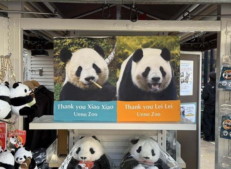 旅日大熊猫限流参观