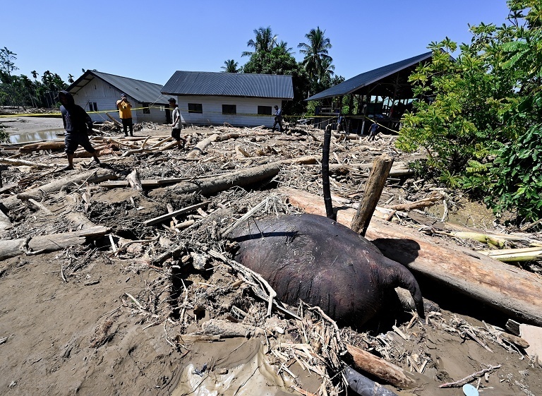 印尼洪灾逾680人遇难