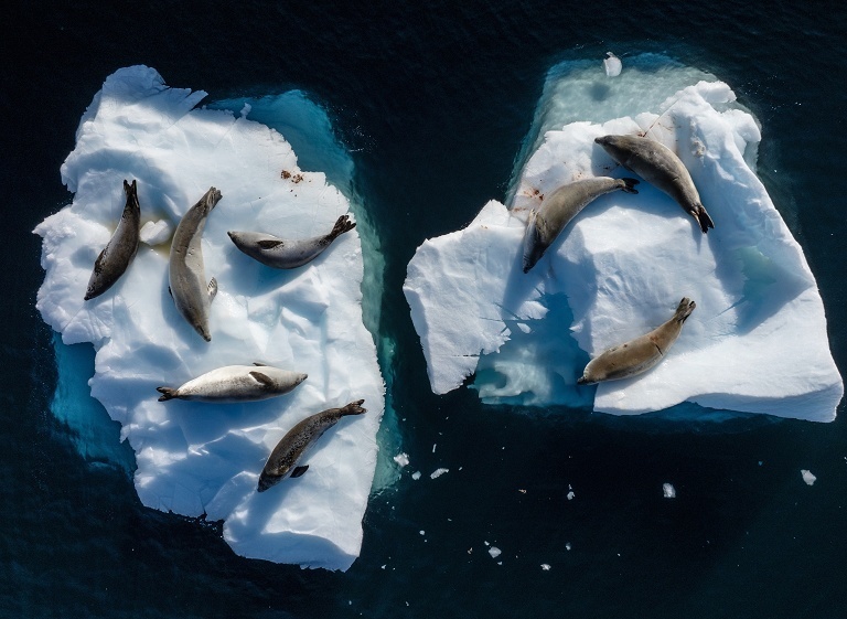 土耳其第10次南极科考