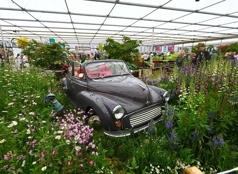 英国切尔西花展开幕