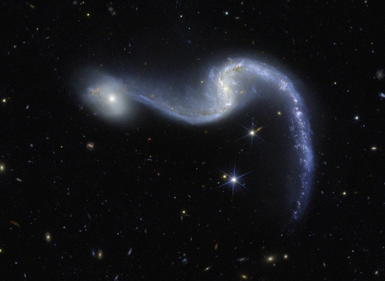 欧几里得拍摄星系花环