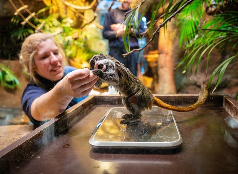 德国不来梅动物园盘点