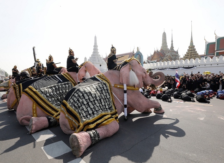 泰国皇家象园悼念王太后