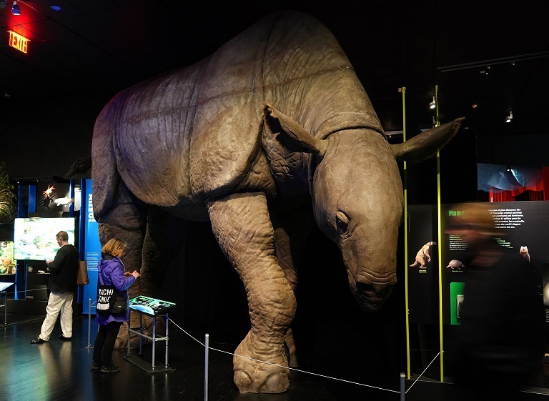 纽约小行星撞击灭绝主题展