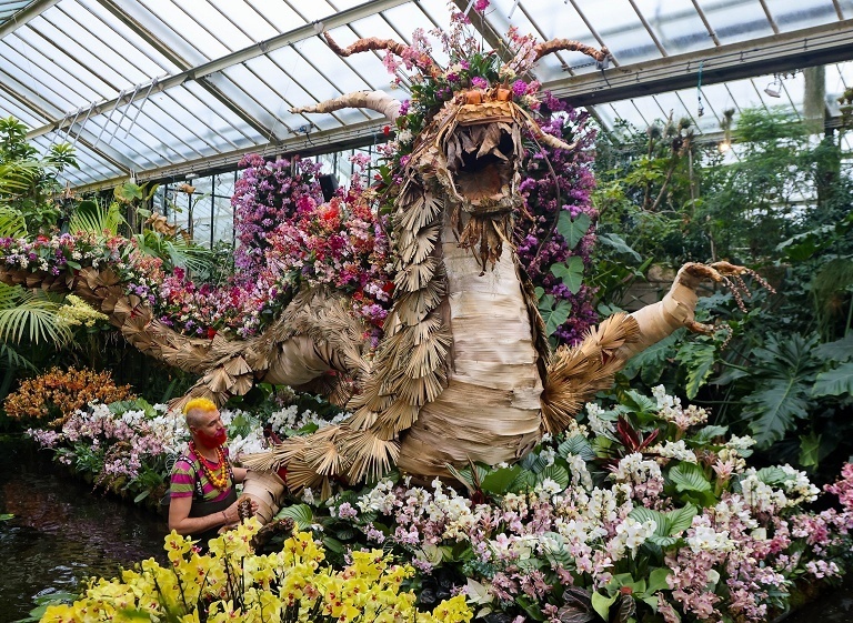 伦敦皇家植物园兰花节