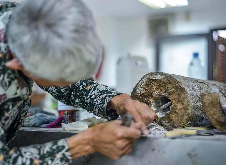 印尼史前剑齿象化石