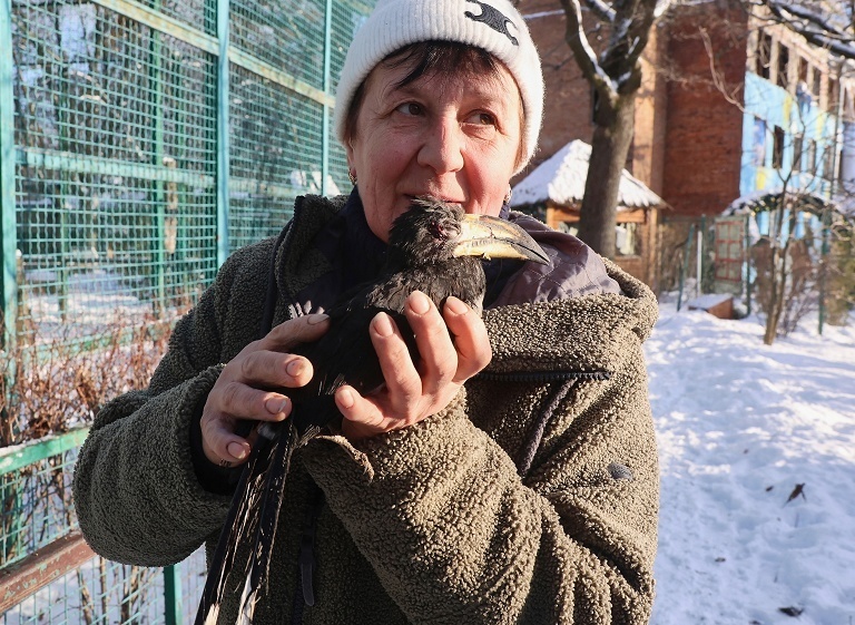 乌克兰动物园遭俄军空袭