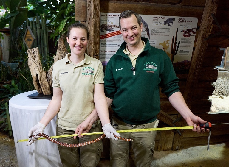 德国水族馆年度盘点