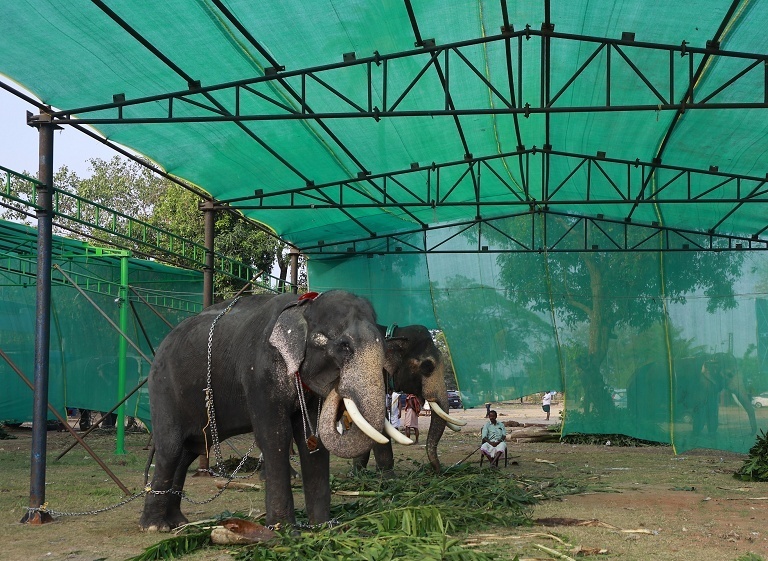 印度湿婆神庙庙会