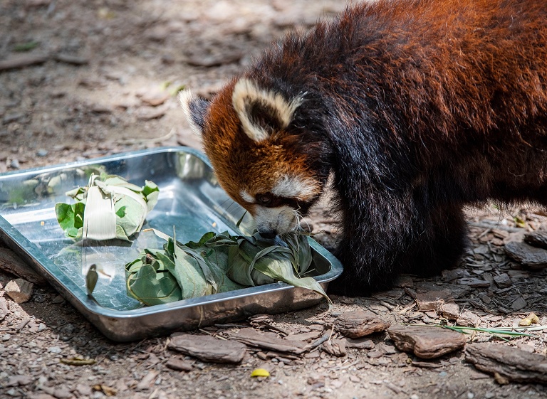 中国准备迎接端午假期