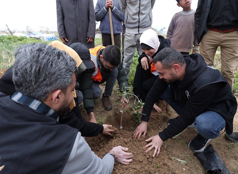 巴勒斯坦第50个土地日