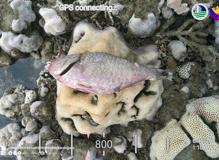 菲律宾地震导致海床抬升