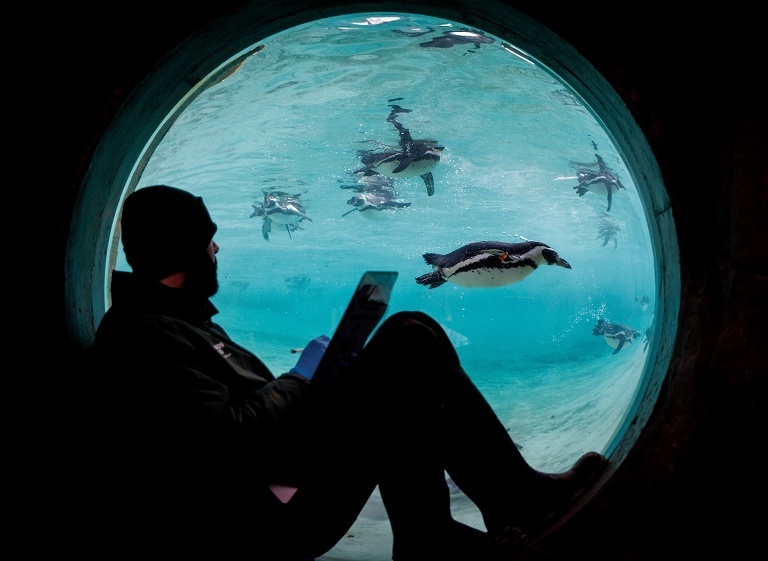 伦敦动物园年度盘点