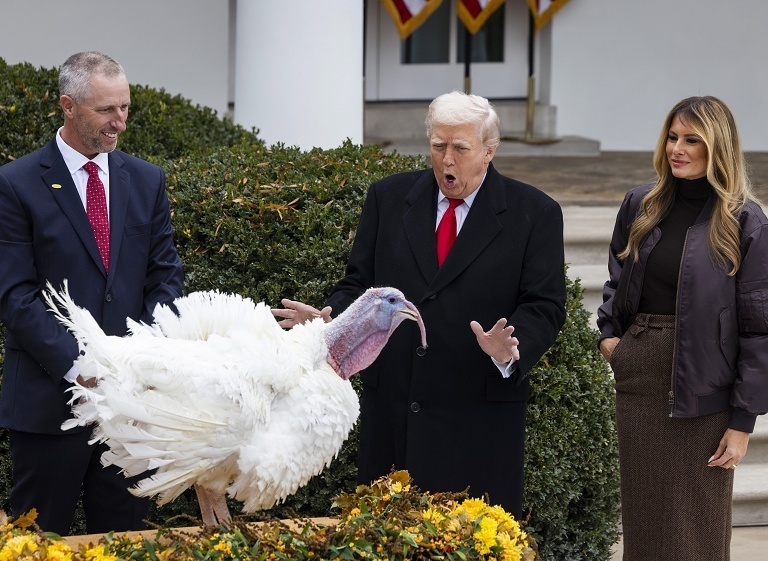 特朗普赦免感恩节火鸡