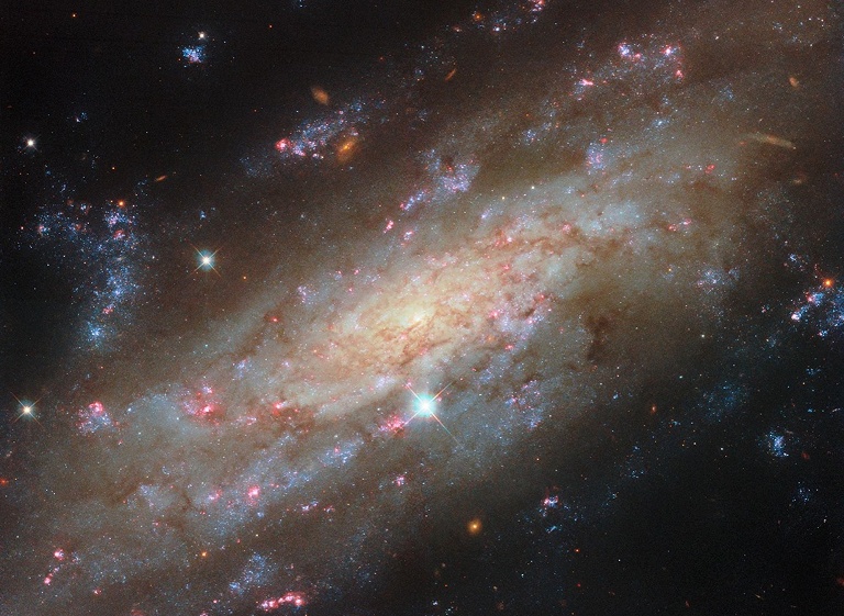 螺旋星系 NGC 3137