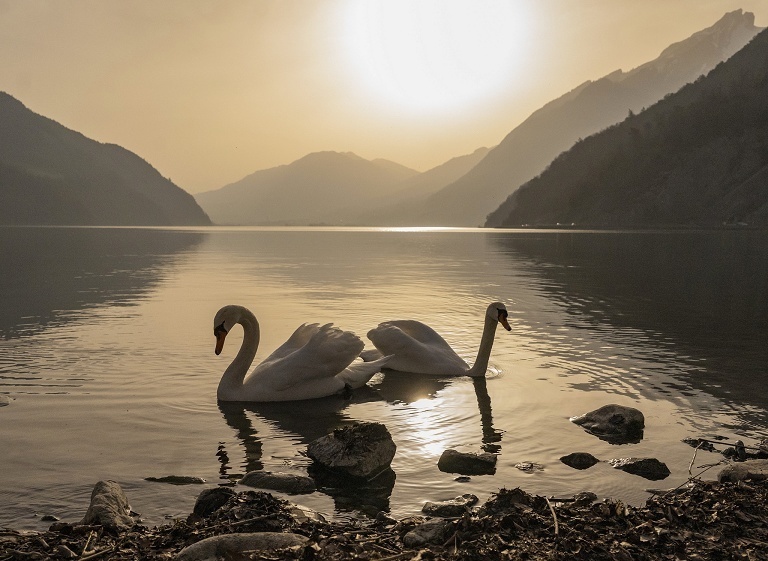 撒哈拉沙尘侵袭瑞士