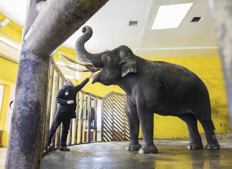 基辅动物园供暖困境