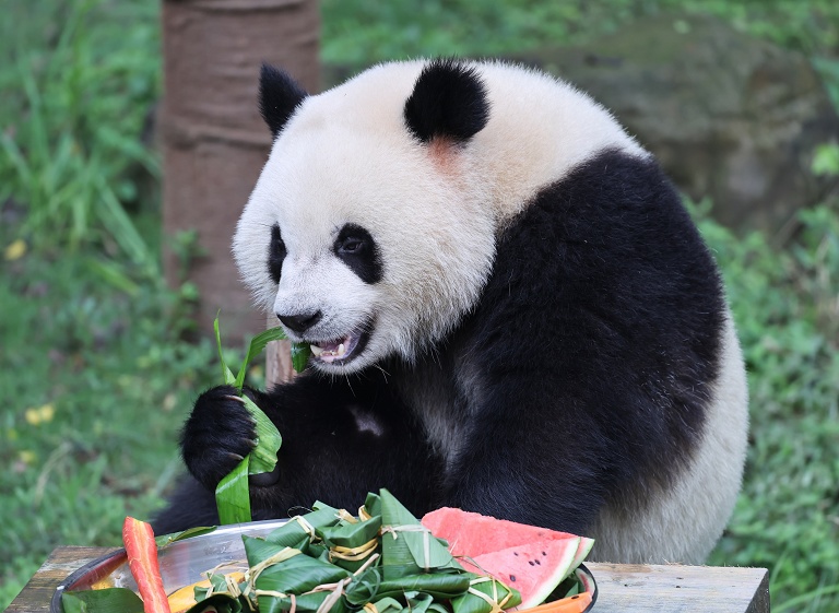 中国端午节假期首日