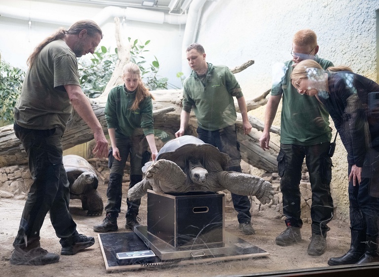 德累斯顿动物园年度盘点