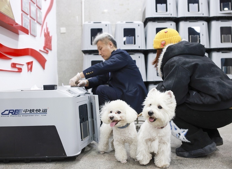 中国春假旅客预计5.4亿