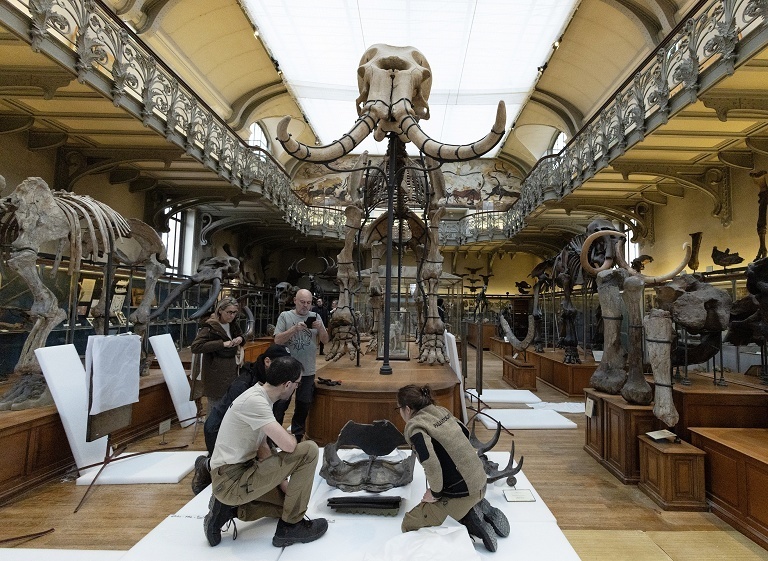 法国自然史博古生物馆翻修