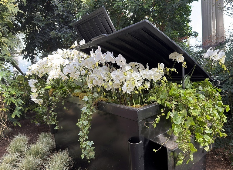 纽约植物园兰花展