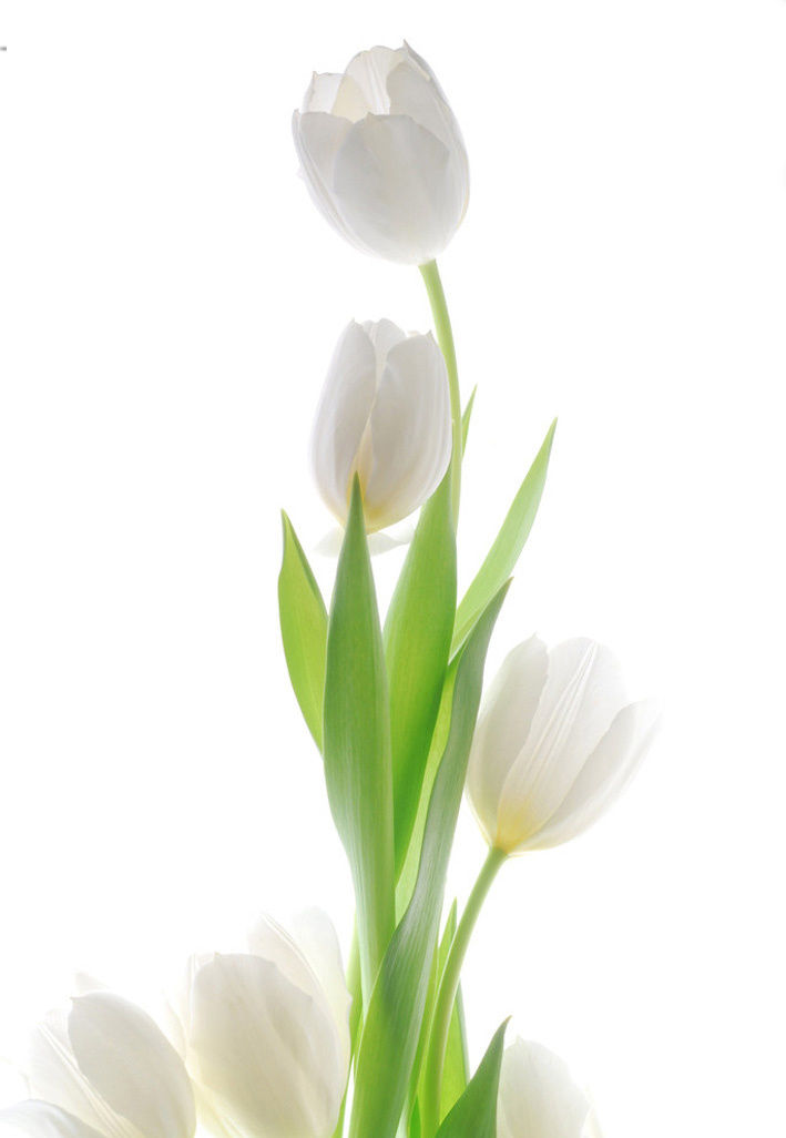 paintings material for to be made for this pattern of wallpaper