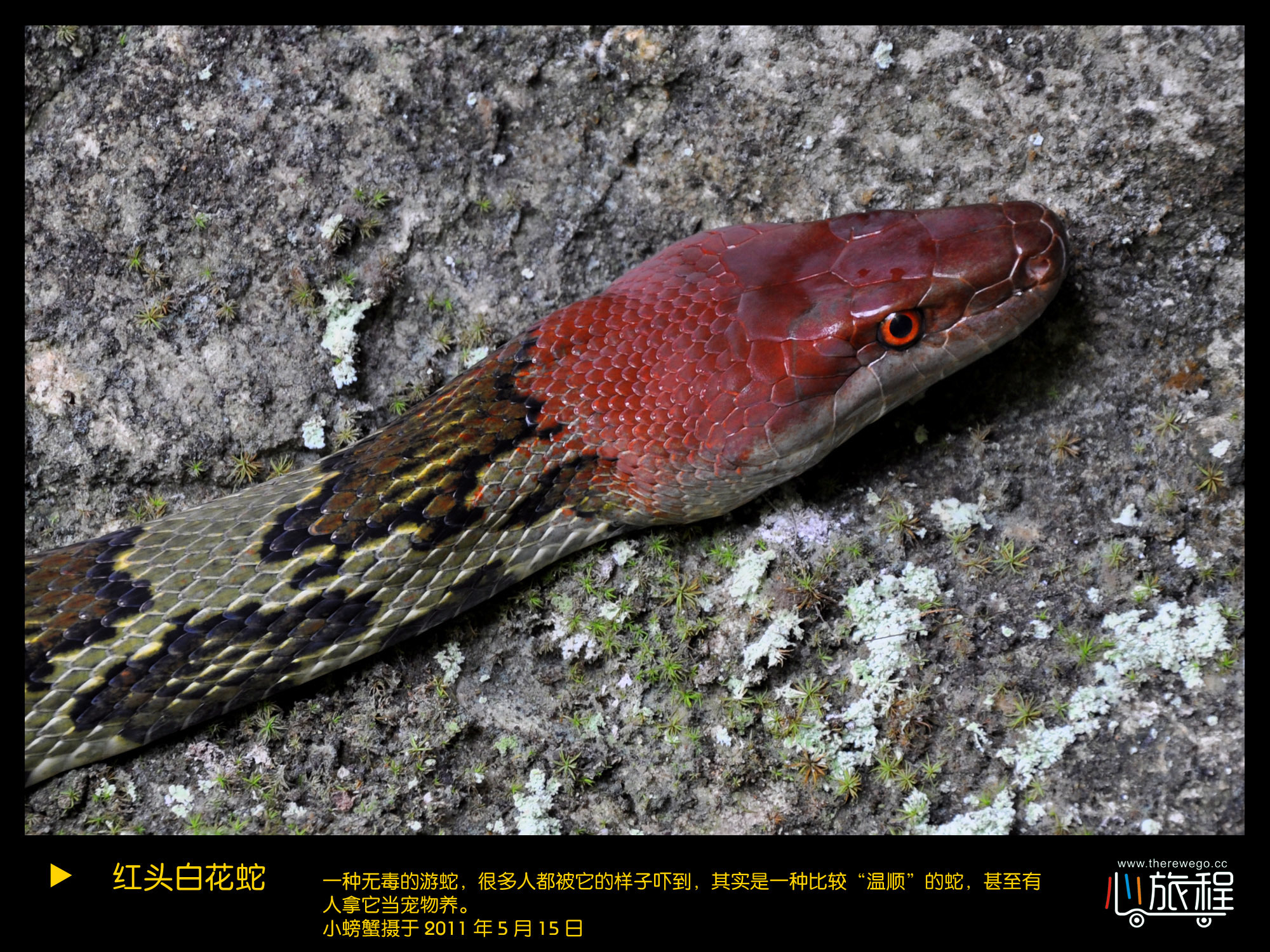 木论古道生物多样性摄影习作