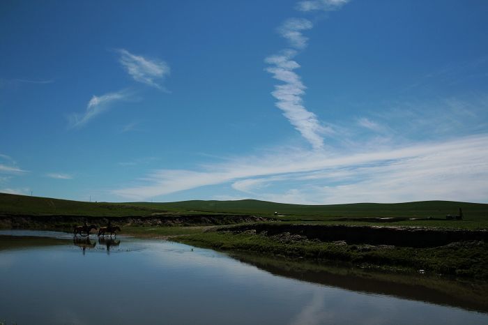 摄影/旅游 天苍,野茫,现牛羊 icedalion     级