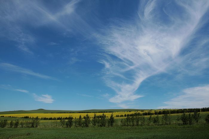 天苍,野茫,现牛羊