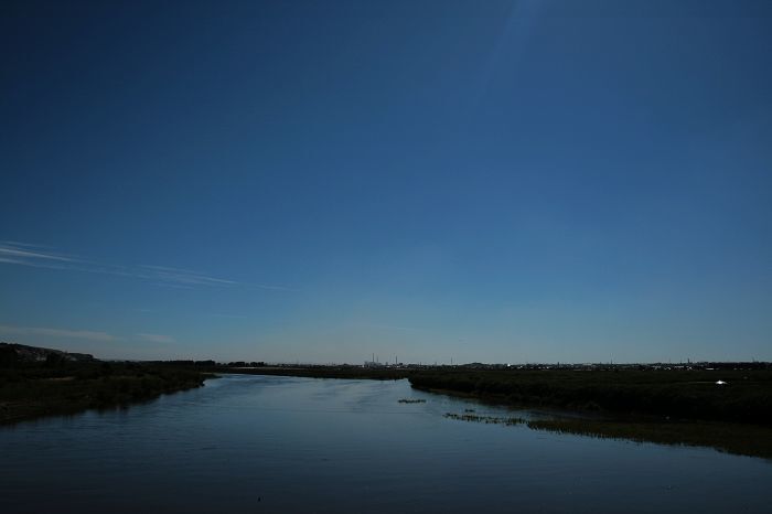 天苍,野茫,现牛羊